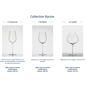 Collection Racine - en coffret de 6 verres