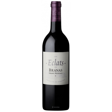 ECLAT DE BRANAS GRANDS POUJEAUX - 12+6 OFFERTS - ROUGE - MOULIS - 2016 - FRONTIGNAN (75 CL)