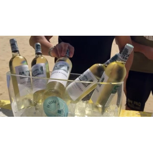 CHATEAU LAMOTHE BERGERON  - BLANC - FRONTIGNAN (75 CL)